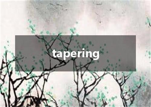 tapering是什么意思