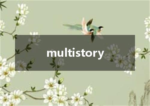 multistory是什么意思