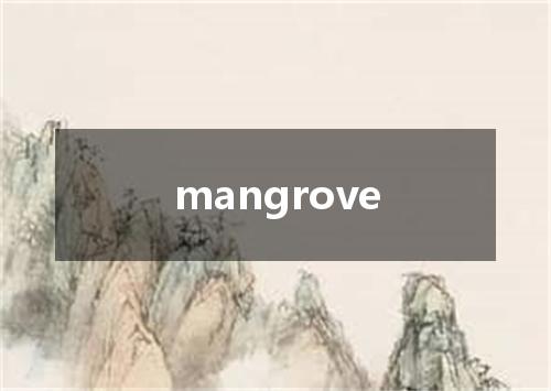 mangrove是什么意思