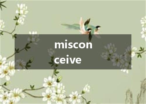 misconceive是什么意思