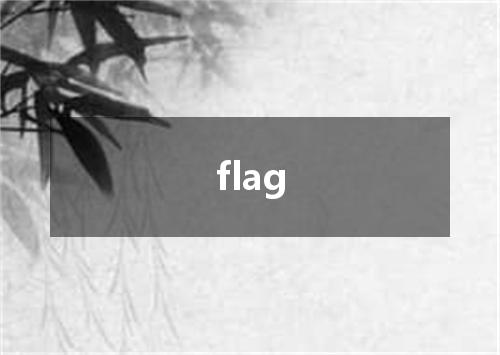 flag是什么意思