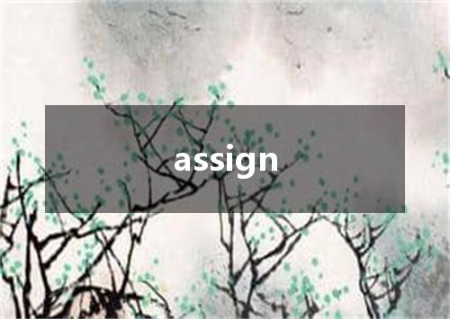 assign是什么意思