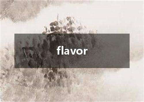 flavor是什么意思