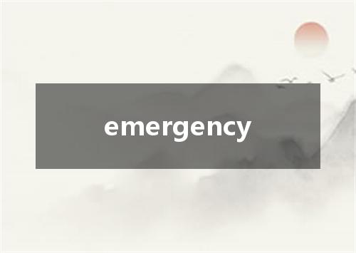 emergency是什么意思