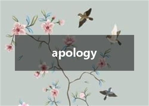 apology是什么意思