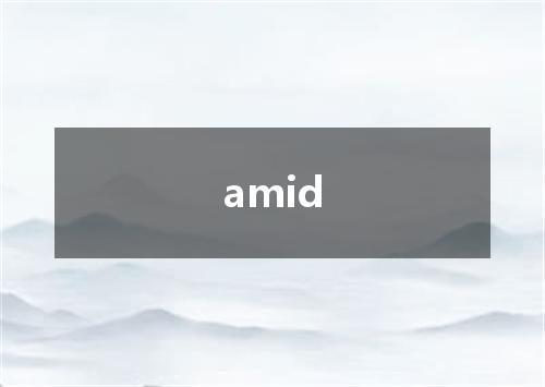 amid是什么意思