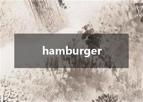 hamburger是什么意思
