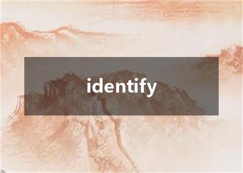 identify是什么意思