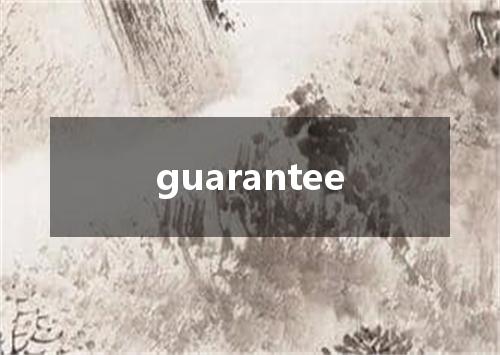 guarantee是什么意思
