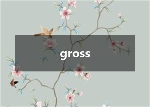 gross是什么意思