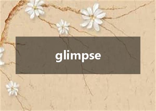 glimpse是什么意思
