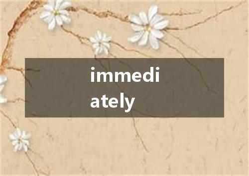 immediately是什么意思