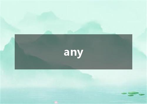 any是什么意思