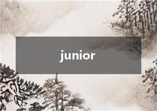 junior是什么意思