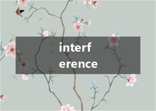 interference是什么意思
