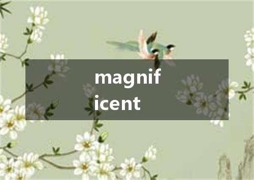 magnificent是什么意思