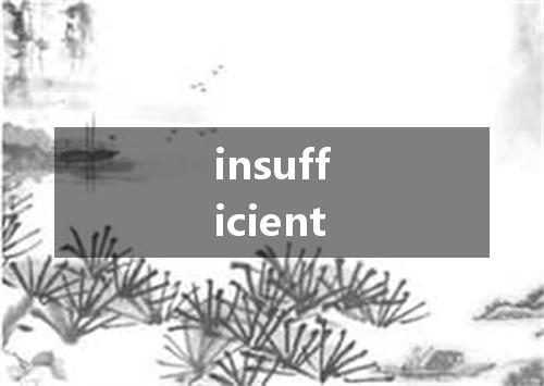 insufficient是什么意思