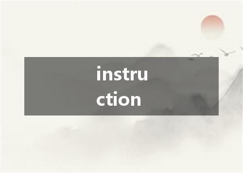 instruction是什么意思