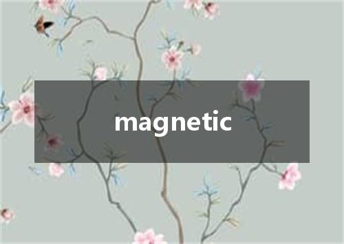 magnetic是什么意思