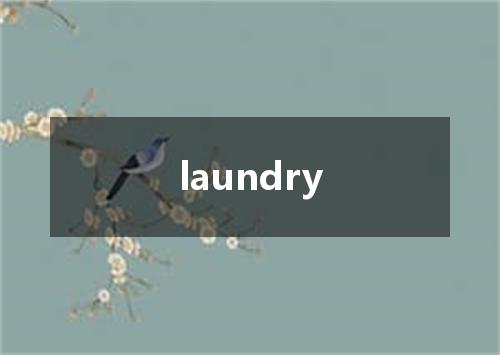 laundry是什么意思