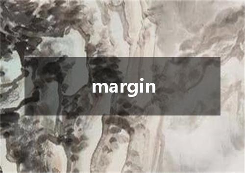 margin是什么意思
