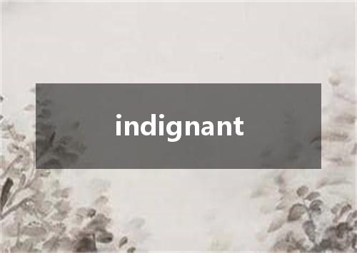 indignant是什么意思