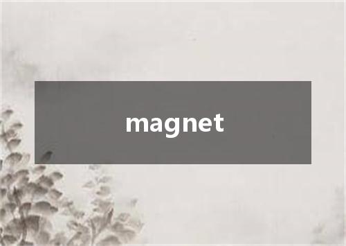 magnet是什么意思