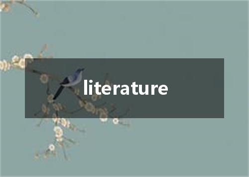 literature是什么意思