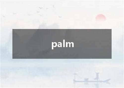 palm是什么意思