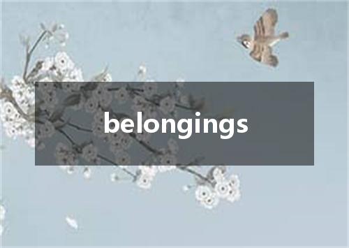 belongings是什么意思