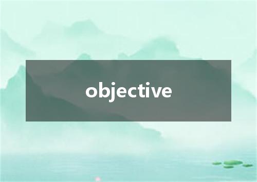 objective是什么意思