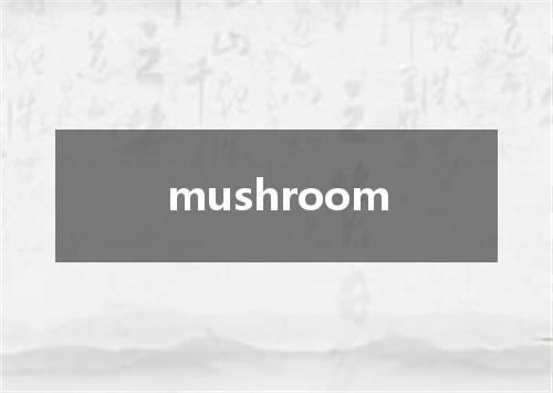mushroom是什么意思