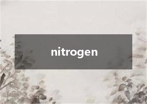 nitrogen是什么意思