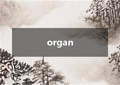 organ是什么意思