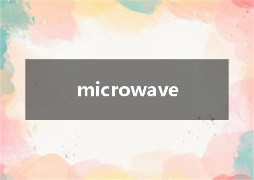 microwave是什么意思