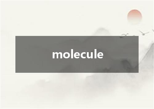 molecule是什么意思
