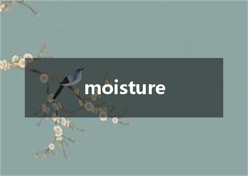moisture是什么意思