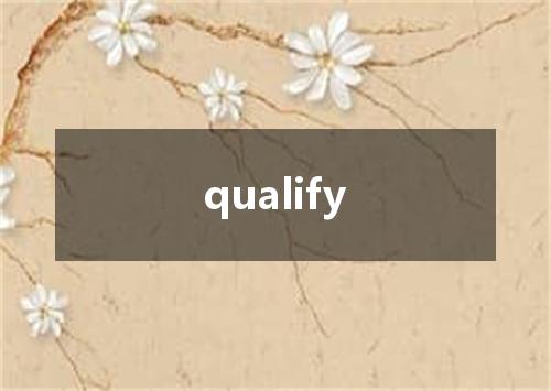 qualify是什么意思