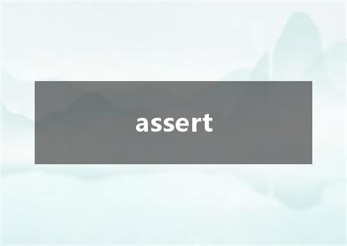 assert是什么意思