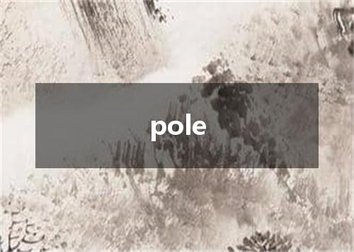 pole是什么意思