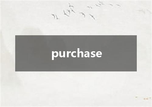 purchase是什么意思
