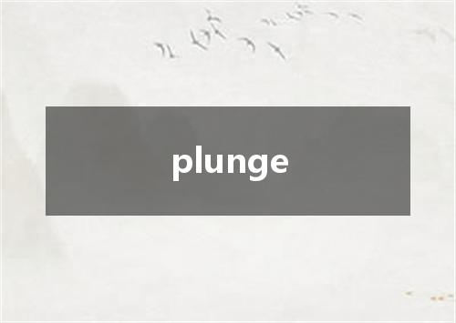 plunge是什么意思