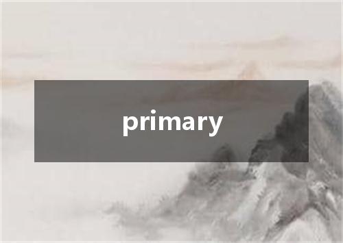 primary是什么意思