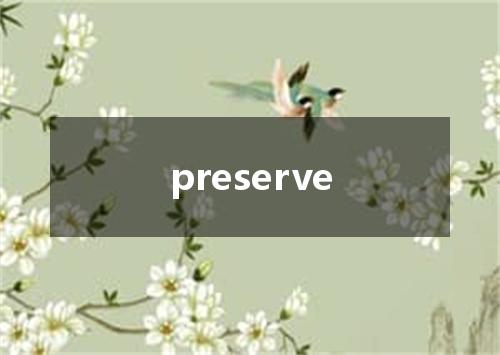 preserve是什么意思