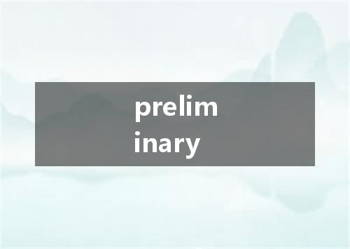 preliminary是什么意思