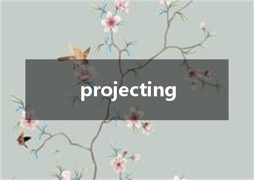 projecting是什么意思