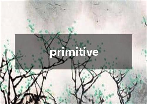 primitive是什么意思