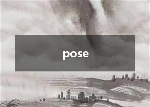 pose是什么意思