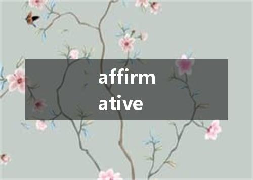 affirmative是什么意思