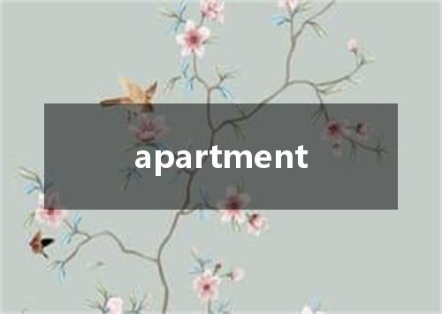 apartment是什么意思